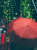 Regenschirme und Regenmäntel